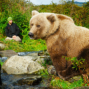 Dokument Sám medzi medveďmi grizzly