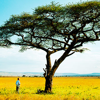 Pravidlá Serengeti – prírodopisný program