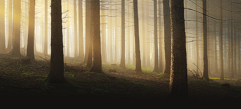Tajomstvá kúzelných lesov – prírodopisný seriál