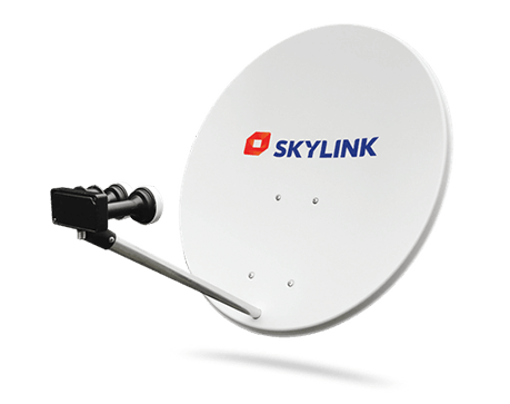 Dekódovacia karta Skylink