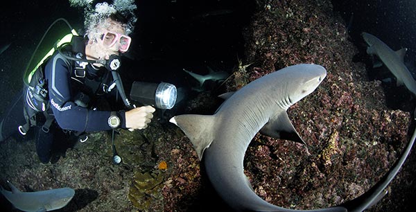 Fotografovanie žralokov na Fidži