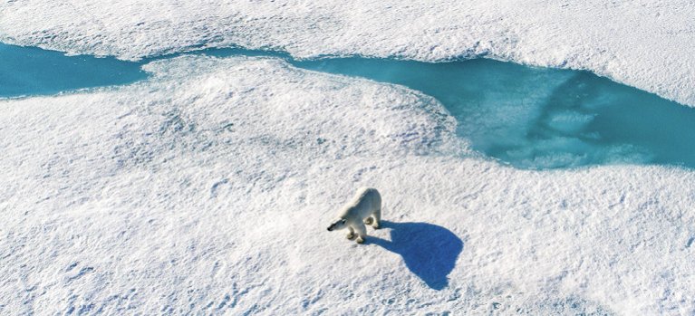 Arktída – prírodopisný dokument