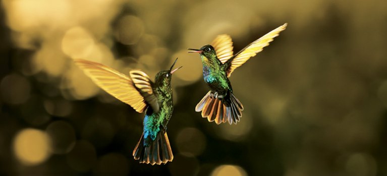 Vo vzduchu – prírodovedný seriál