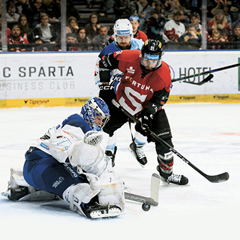 Liga majstrov – športové programy