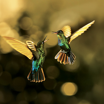 Vo vzduchu – prírodovedný seriál