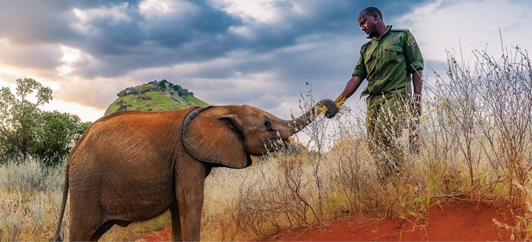 Stať sa slonom: Siroty z Reteti – prírodopisný seriál