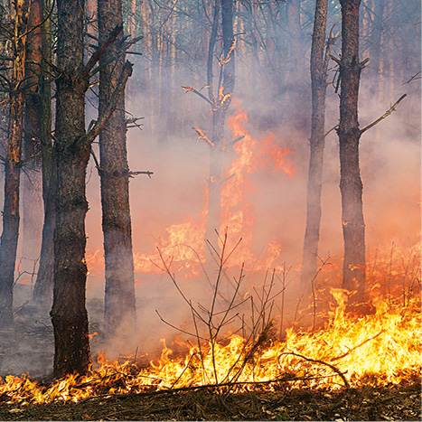 Hnev prírody – dokumentárna séria 