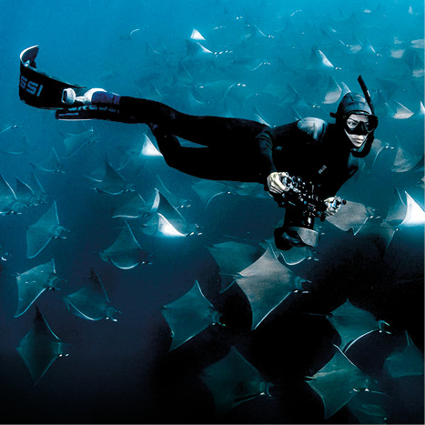 Hlbinné potápanie – Severná Amerika – dokumenty