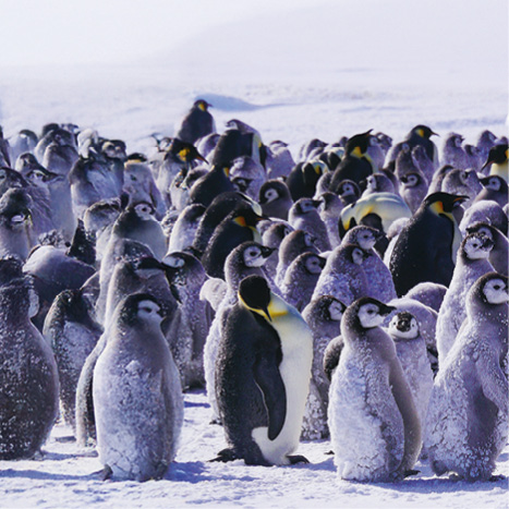 Nevlídná planeta – prírodopisná séria