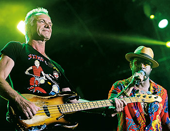 Sting a Shaggy