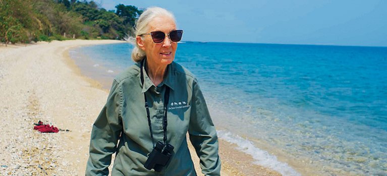 Dokumentárny program Jane Goodallová: Nádej