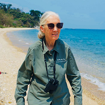 Dokumentárny program Jane Goodallová: Nádej