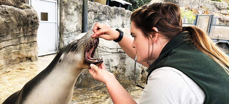 Zoo Taronga – dokumentárny program