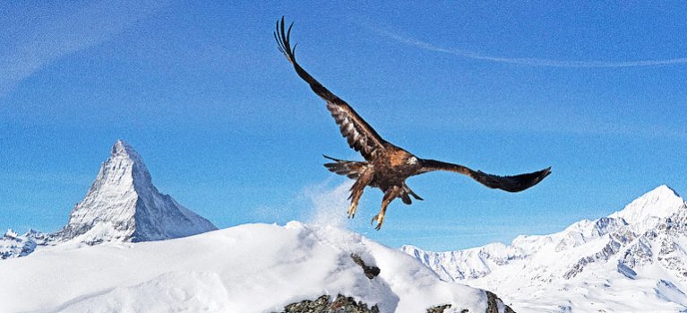 Alpy: Zimná pevnosť– prírodopisný dokument
