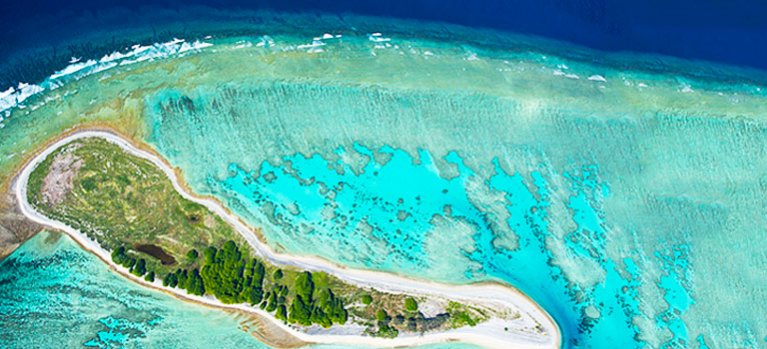 Veľká koralová bariéra – prírodopisný dokument
