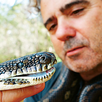 Prekvapivé tajomstvá hadov – dokumentárny seriál