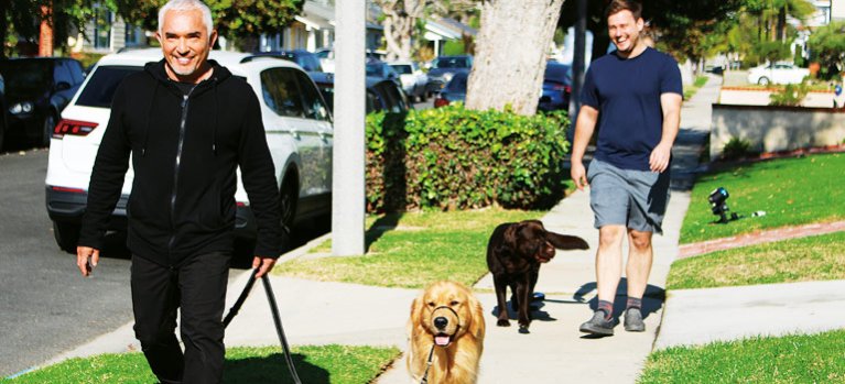 Cesar Millan: Aký pán, taký pes – dokumentárny seriál
