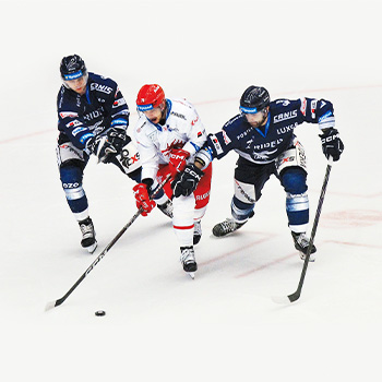 Hokejová liga majstrov – športový program